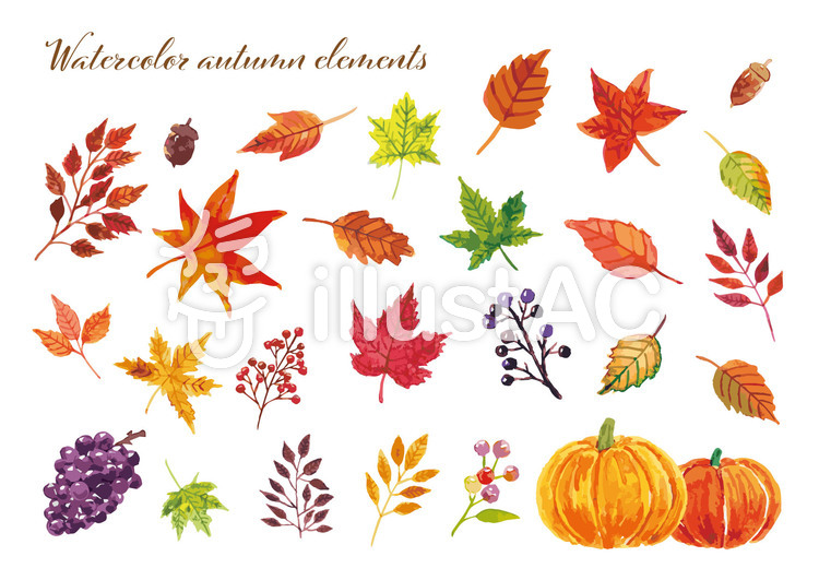 秋の水彩イラスト